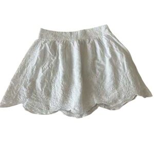 Zara embroiled skirt